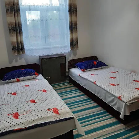 Levendula Vendeghaz Hajduszoboszlo